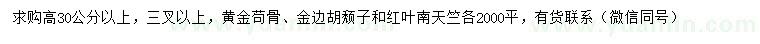 求购黄金苟骨、金边胡颓子、红叶南天竺