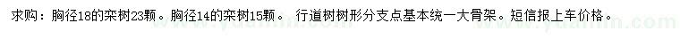 求购胸径14、18公分栾树