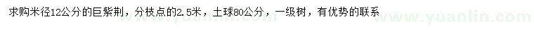 求购米径12公分巨紫荆