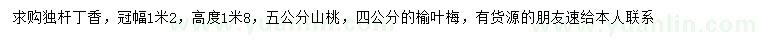 求购独杆丁香、山桃、榆叶梅