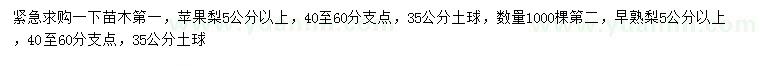 求购5公分以上早熟梨、苹果梨