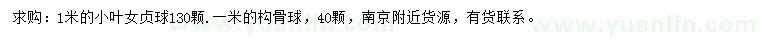 求購1米小葉女貞球、構骨球