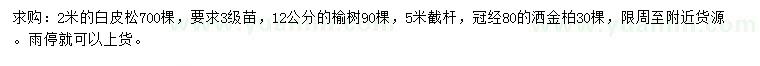 求购2米白皮松、榆树、洒金柏