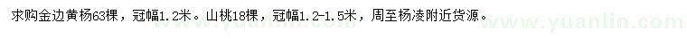 求购冠幅1.2米金边黄杨、1.2-1.5米山桃