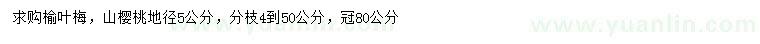求购地径5公分榆叶梅、山樱桃