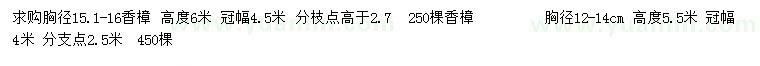 求购胸径12-14、15.1-16公分香樟