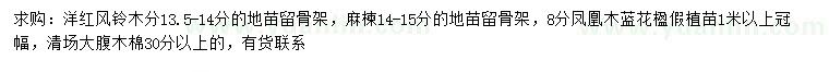 求购洋红风铃木、麻楝、凤凰木等