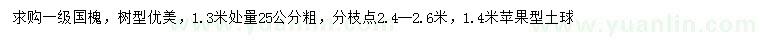 求购1.3米量25公分国槐，树型优美绿化苗木