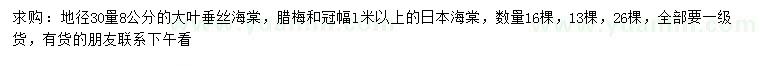 求购大叶垂丝海棠、腊梅、日本海棠