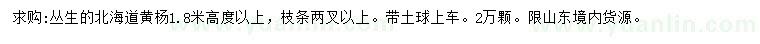 求购高1.8米以上丛生北海道黄杨