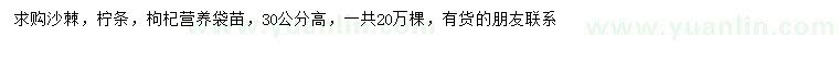 求购沙棘、柠条、枸杞