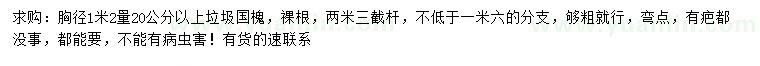 求购胸径1.2米量20公分以上垃圾国槐