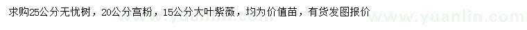 求购无忧树、宫粉、大叶紫薇