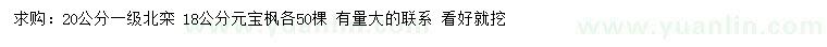 求购20公分北栾、18公分元宝枫