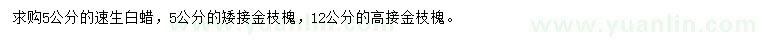 求购速生白蜡、矮接金枝槐、高接金枝槐