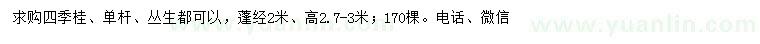 求购高2.7-3米四季桂