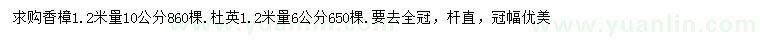 求购1.2米量10公分香樟、杜英