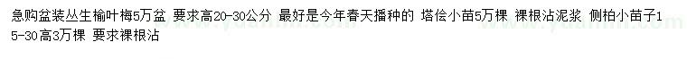 求购丛生榆叶梅、塔侩、侧柏小苗