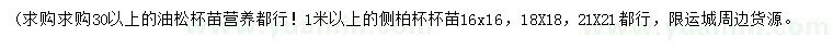 求购30公分以上油松、1米以上侧柏