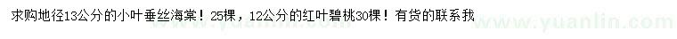 求购地径13公分小叶垂丝海棠、12公分红叶碧桃