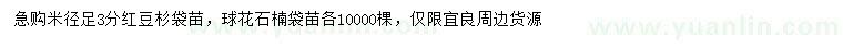 求购米径足3公分红豆杉、石楠