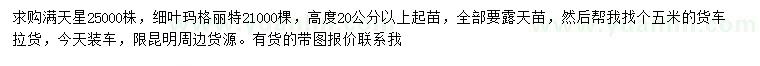 求购高20公分以上满天星、细叶玛格丽特