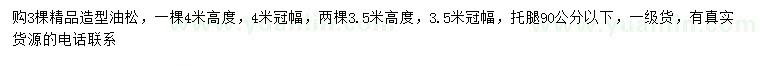 求购高3.5、4米精品造型油松