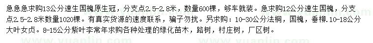 求购速生国槐、法桐、国槐等