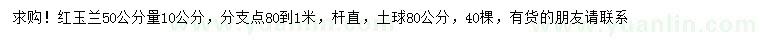 求购50公分量10公分红玉兰