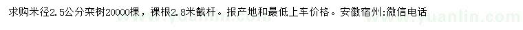 求购米径2.5公分栾树