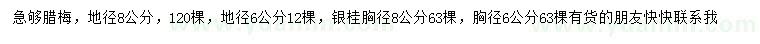 求购地径6、8公分腊梅、银桂