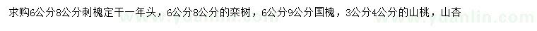 求购刺槐、栾树、国槐等