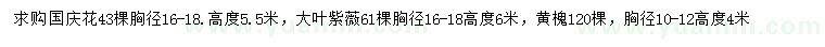 求购国庆花、大叶紫薇、黄槐