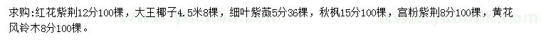 求购红花紫荆、大王椰子、红叶紫薇等