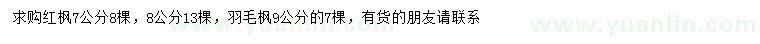 求购7、8公分红枫、9公分羽毛枫