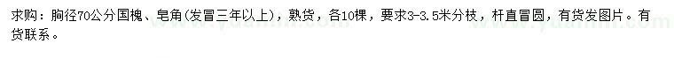 求购胸径70国槐、皂角