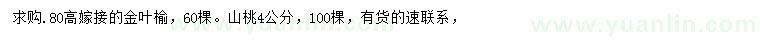 求购高80公分金叶榆、4公分山桃