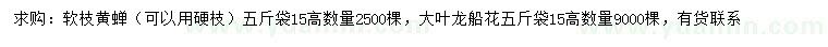 求购高15公分软枝黄蝉、大叶龙船花