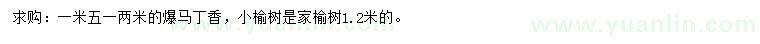 求购1.2、1.5米爆马丁香、1.2米小榆树