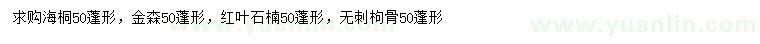 求购海桐、金森、红叶石楠等