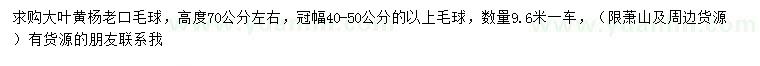 求购高70公分左右大叶黄杨