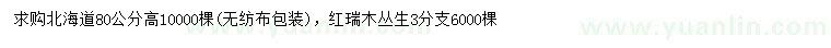 求购高80公分北海道、丛生红瑞木