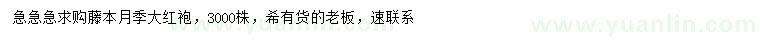 求购藤本月季、大红袍