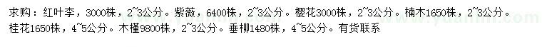 求购红叶李、紫薇、樱花等