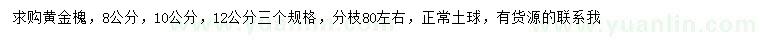 求购8、10、12公分黄金槐