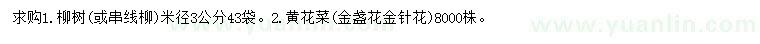 求购米径3公分柳树、黄花菜