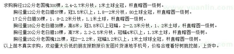 求购老国槐、老白腊、白腊等