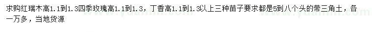 求购红瑞木、四季玫瑰、丁香