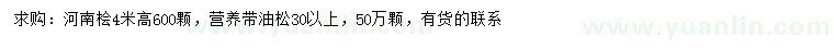 求购高4米河南桧、30公分以上油松