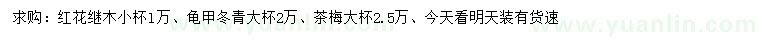 求购红花继木、龟甲冬青、茶梅